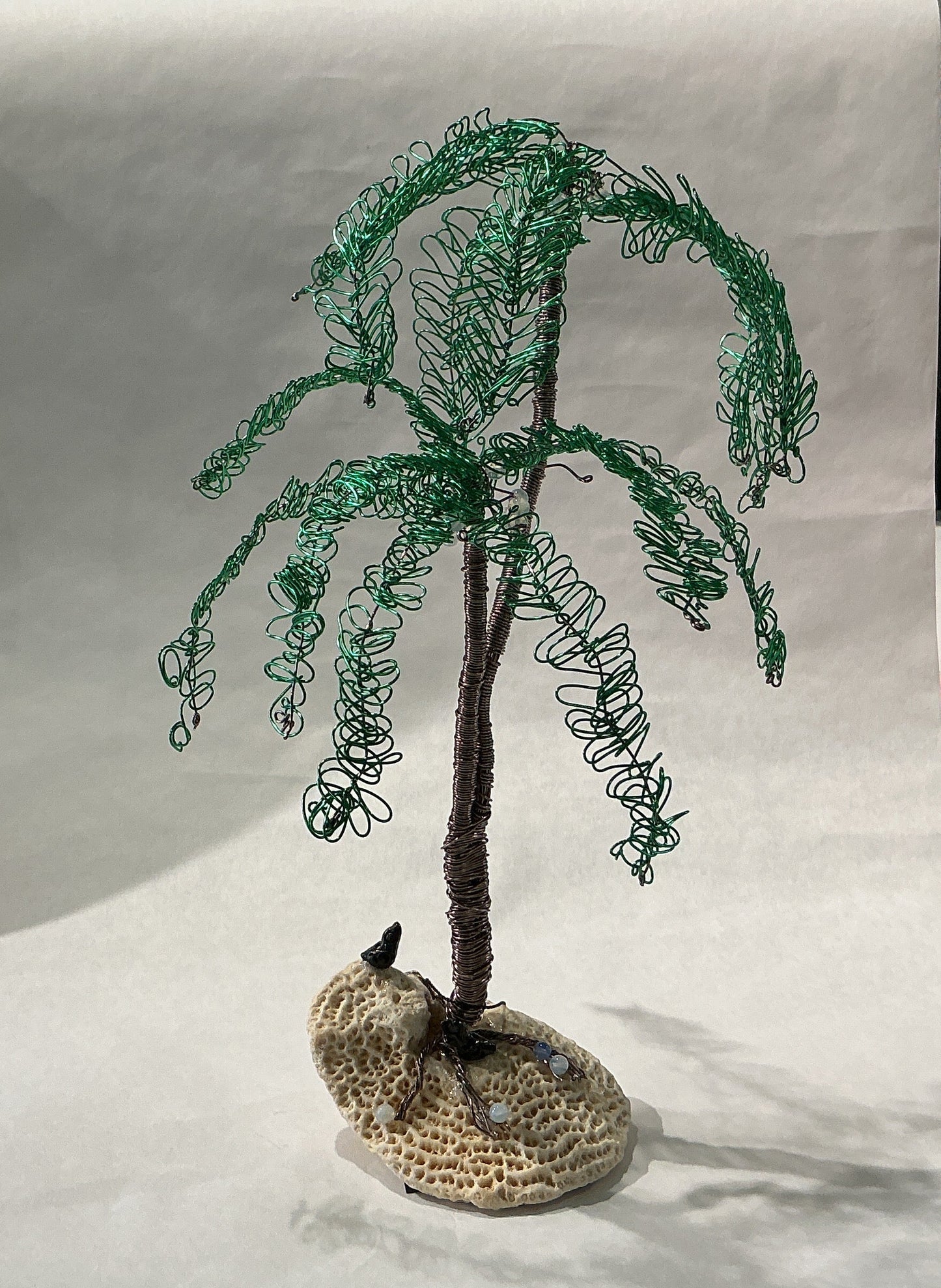 Double Palm Tree