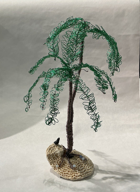 Double Palm Tree