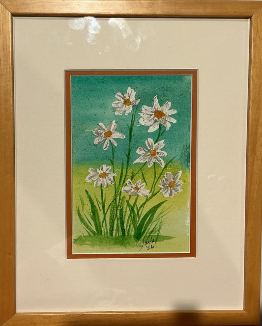 Daisy