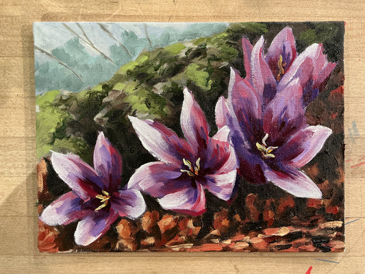 Light Beneath the Canopy