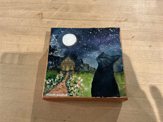 Soaking Up the Stars - Cat