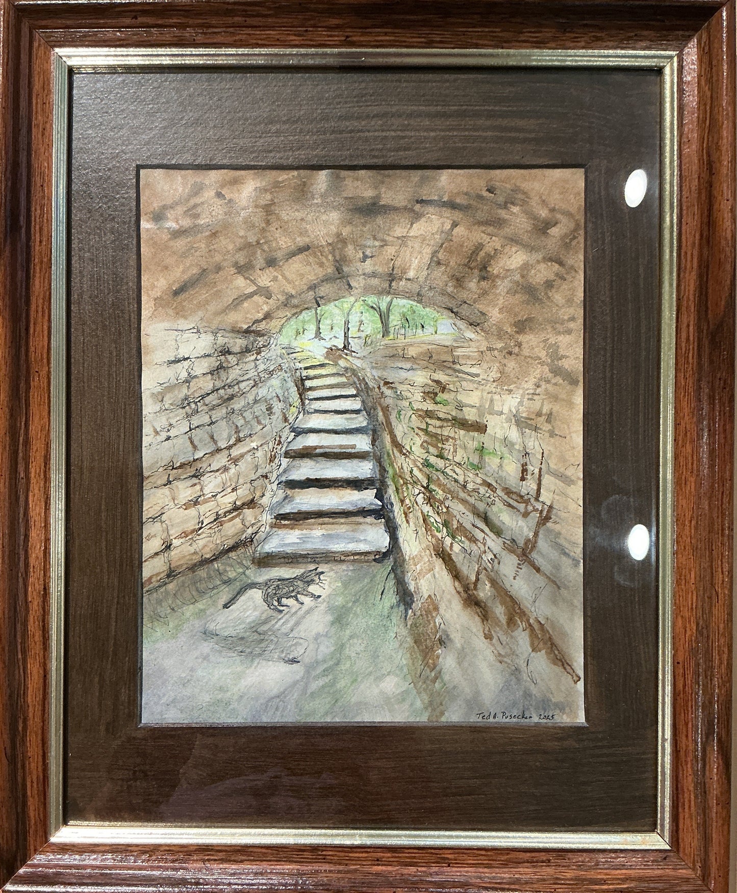 Cat In Cave Tunnel