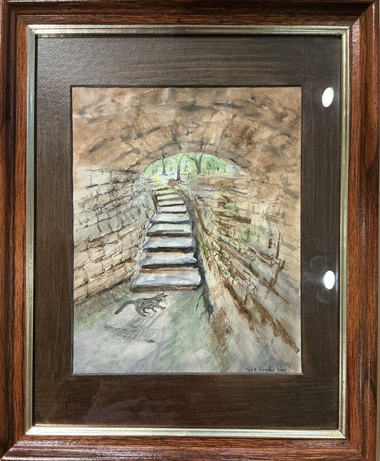 Cat In Cave Tunnel