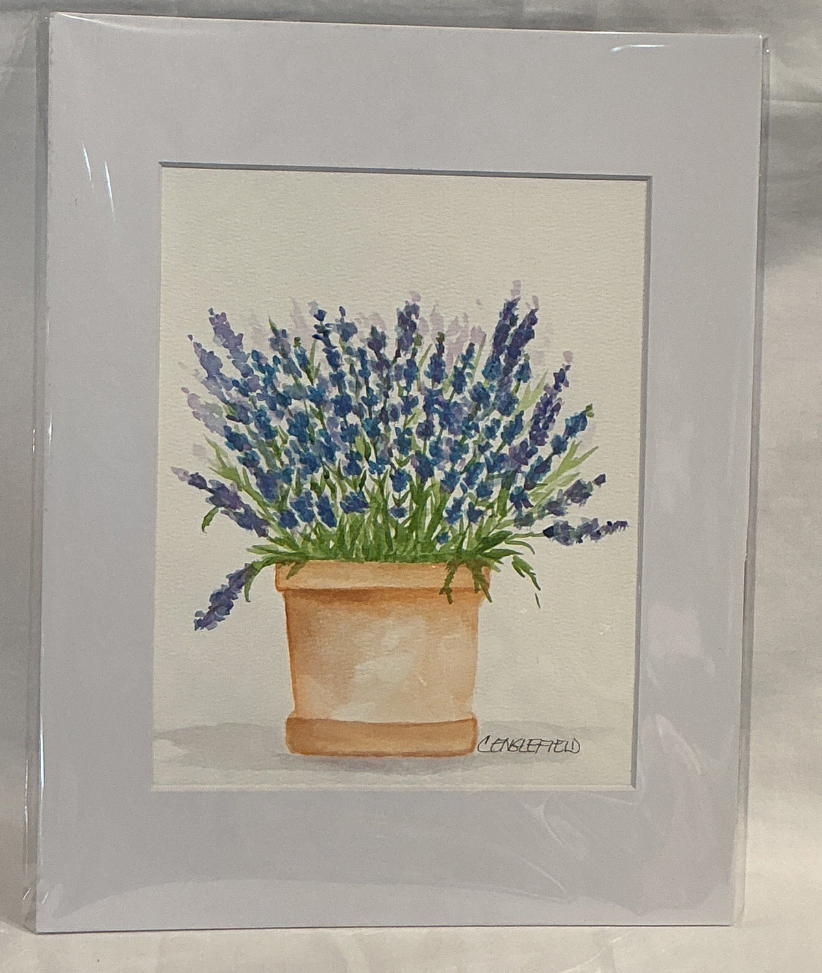 Lavender in Pot (original)