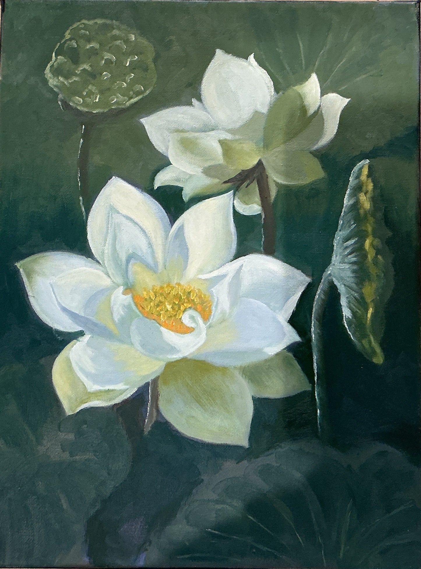 Lotus Flower