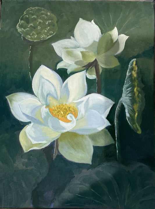 Lotus Flower