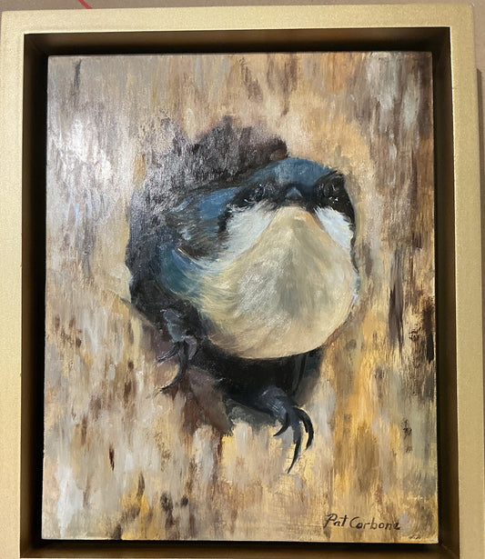 Pygmy Nuthatch