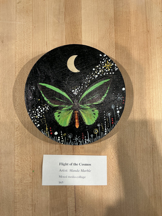 Flight of the Cosmos