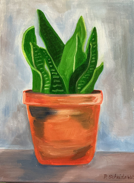 Snake Plant