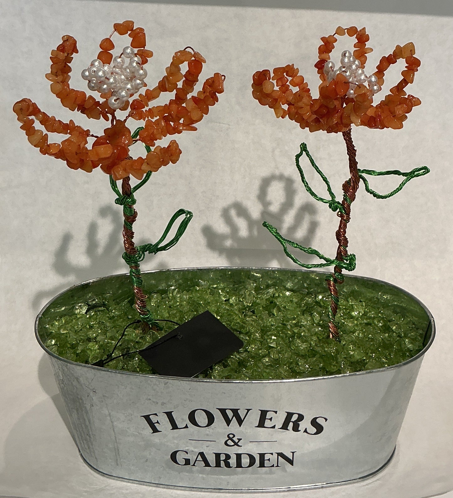 Double Orange Tulips in Tin