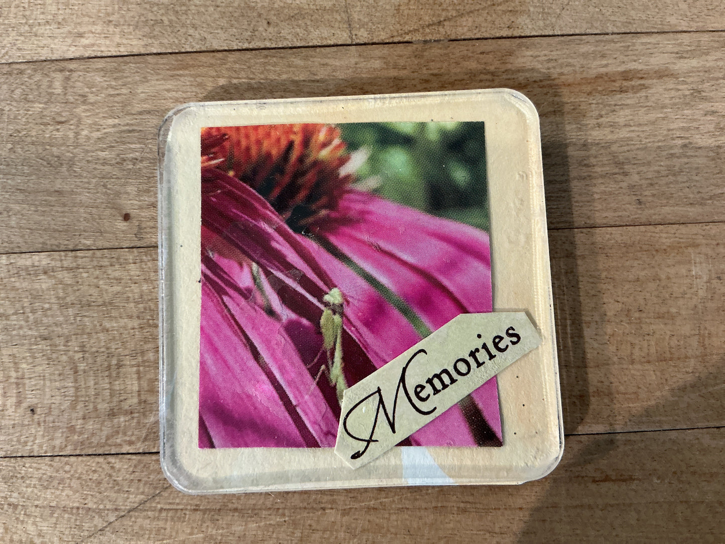 Collage Magnets