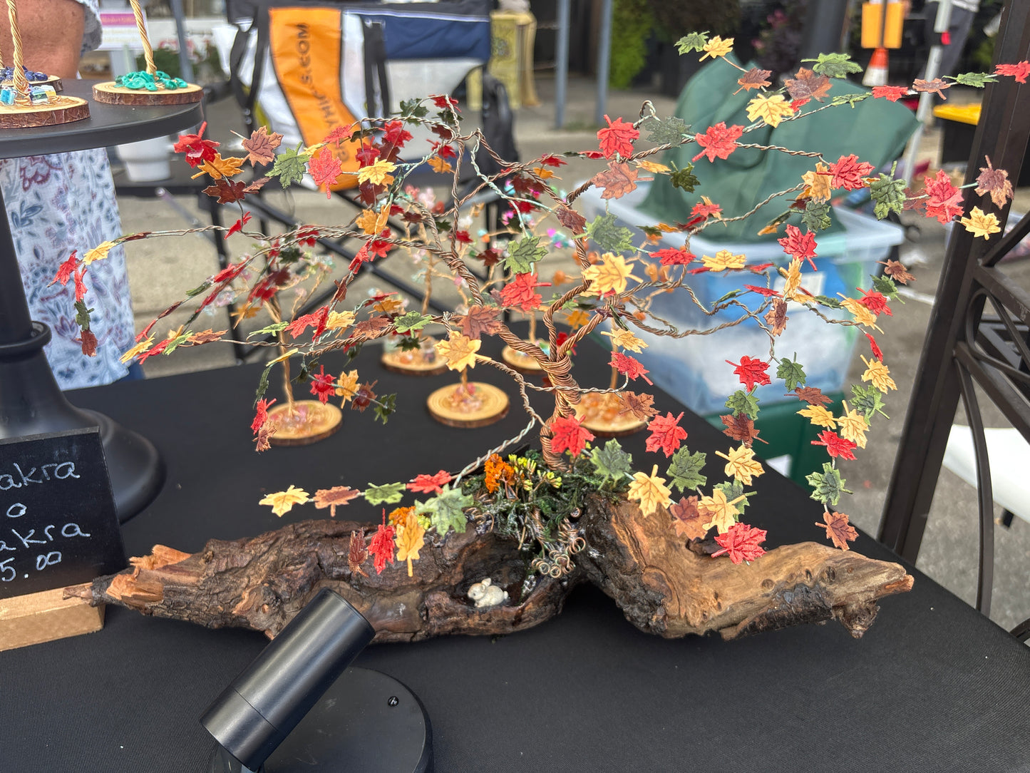 Fall maple tree on driftwood