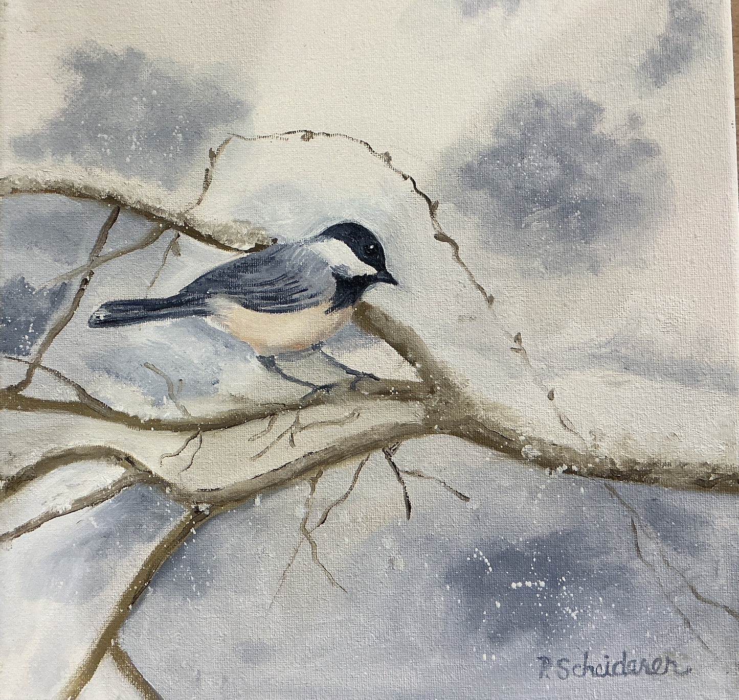 Chickadee Bird