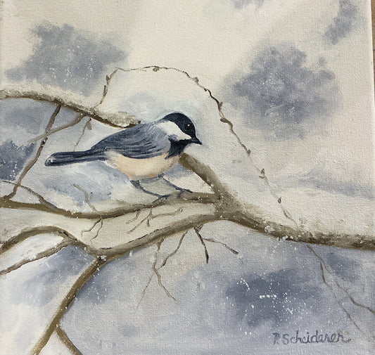 Chickadee Bird