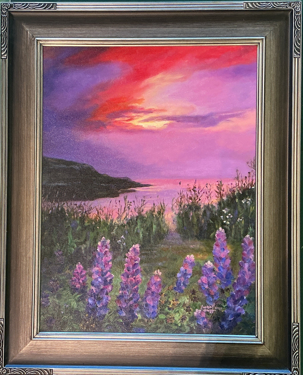 Maine Lupines