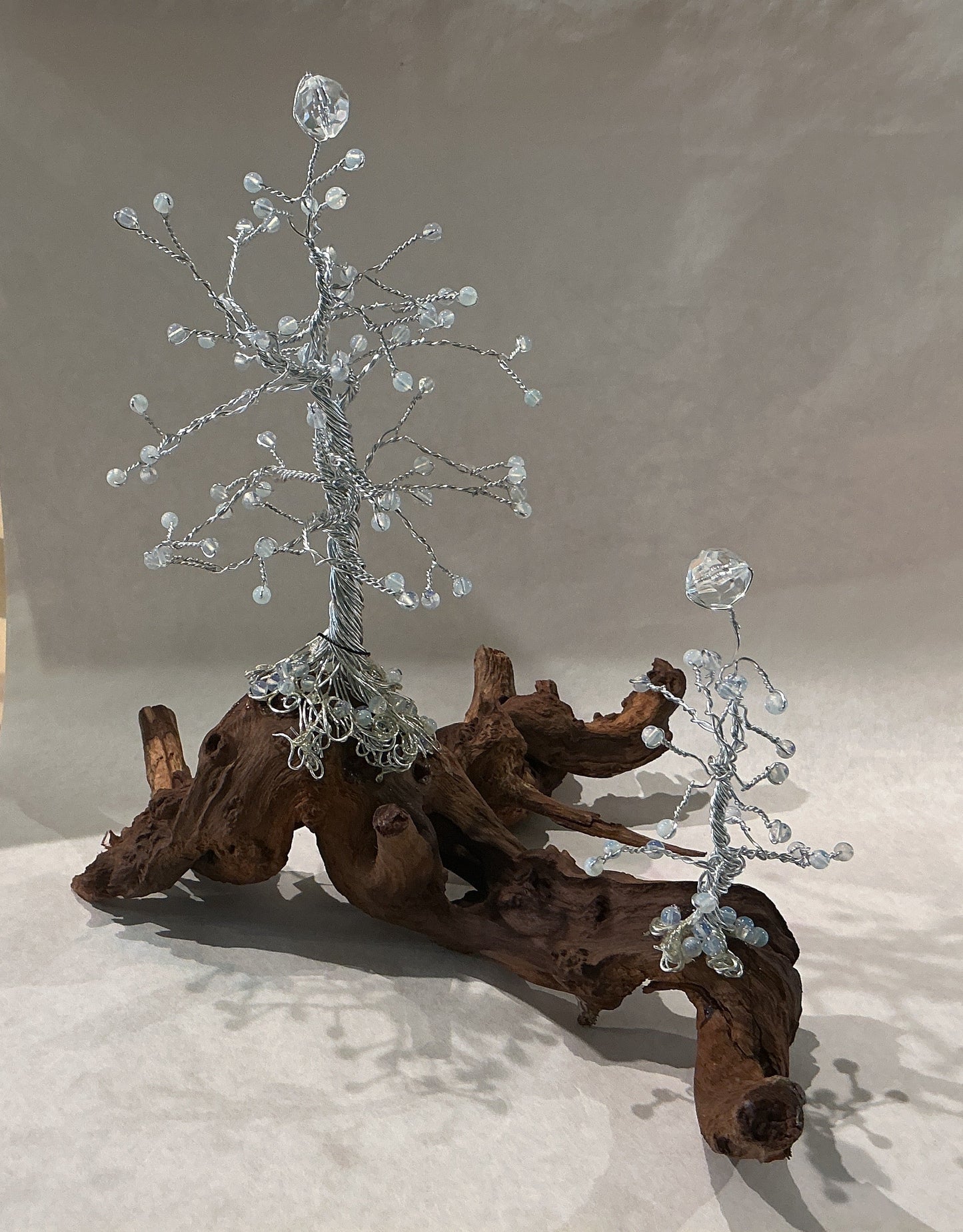 Double Crystal Pine Trees on Driftwood