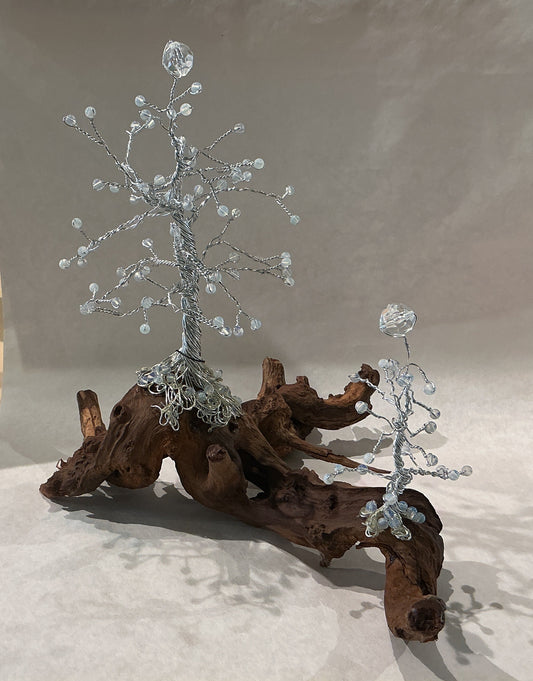 Double Crystal Pine Trees on Driftwood