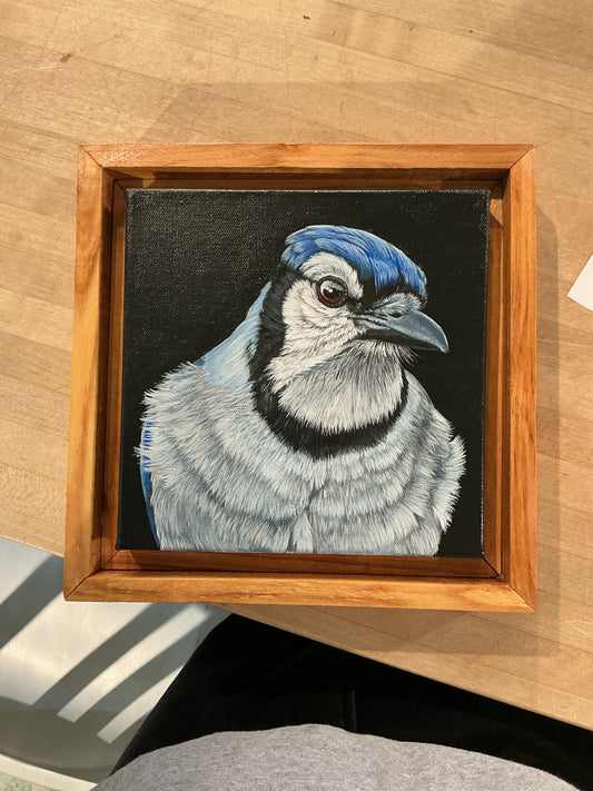 What Are You Looking At?