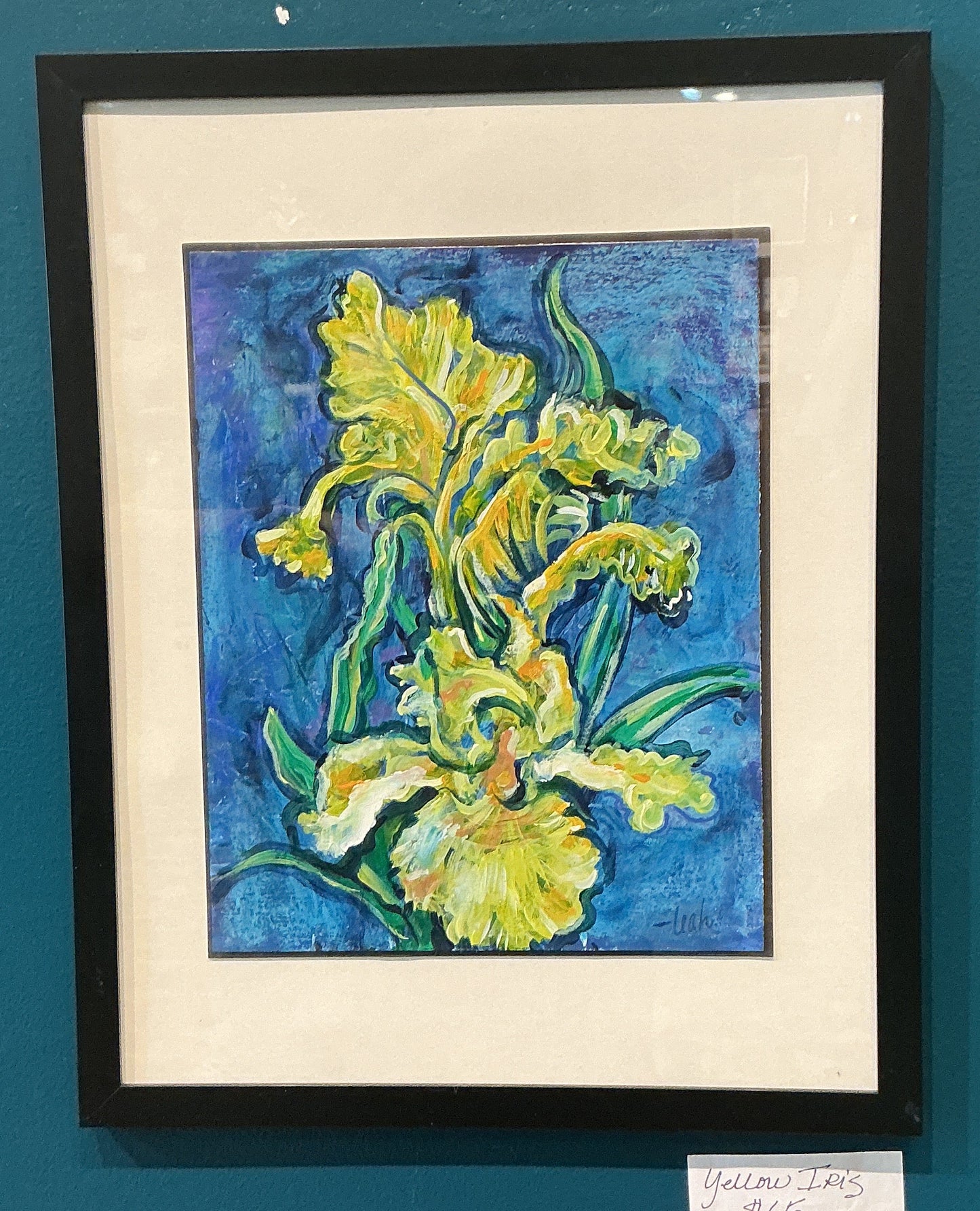 Yellow Iris