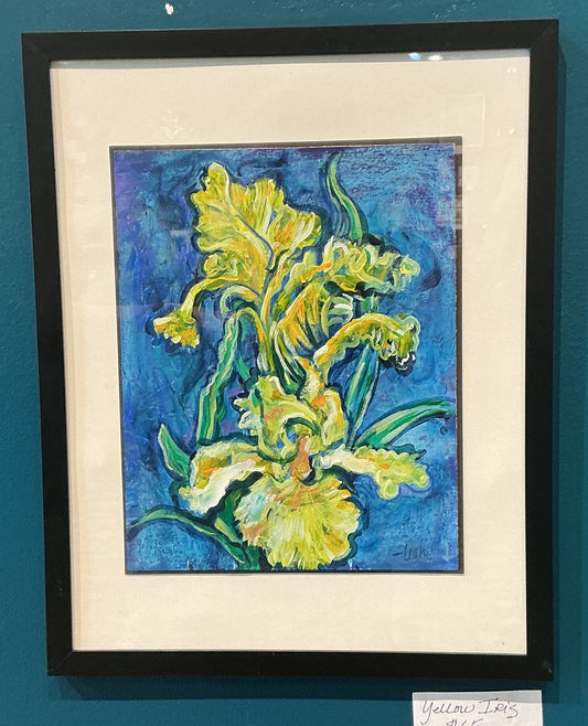 Yellow Iris