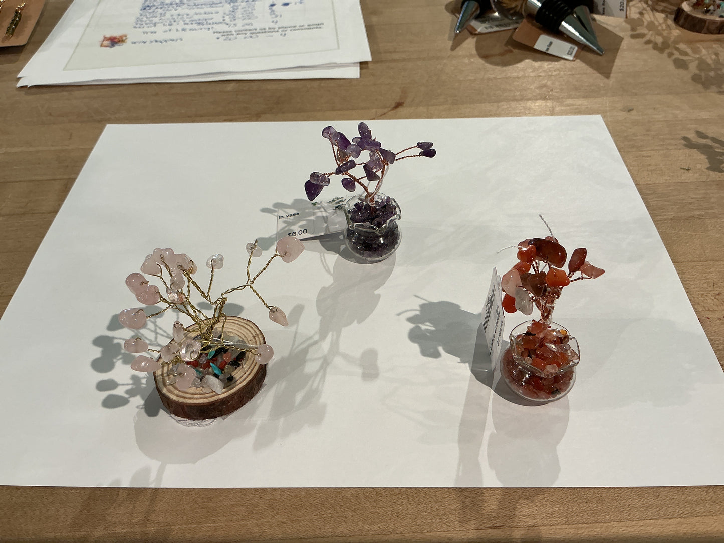 Mini Bonsai Trees
