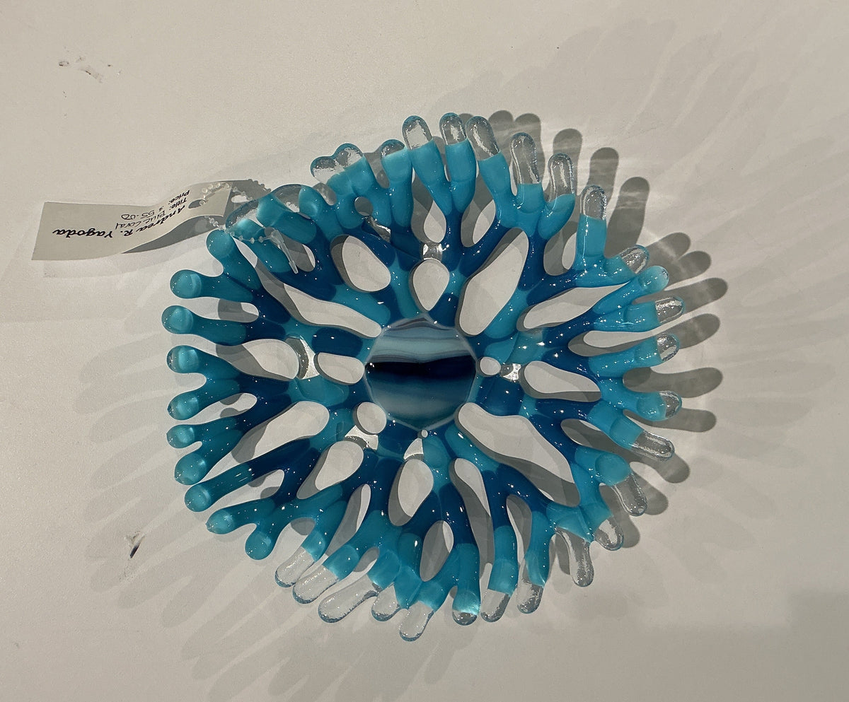 Blue Coral