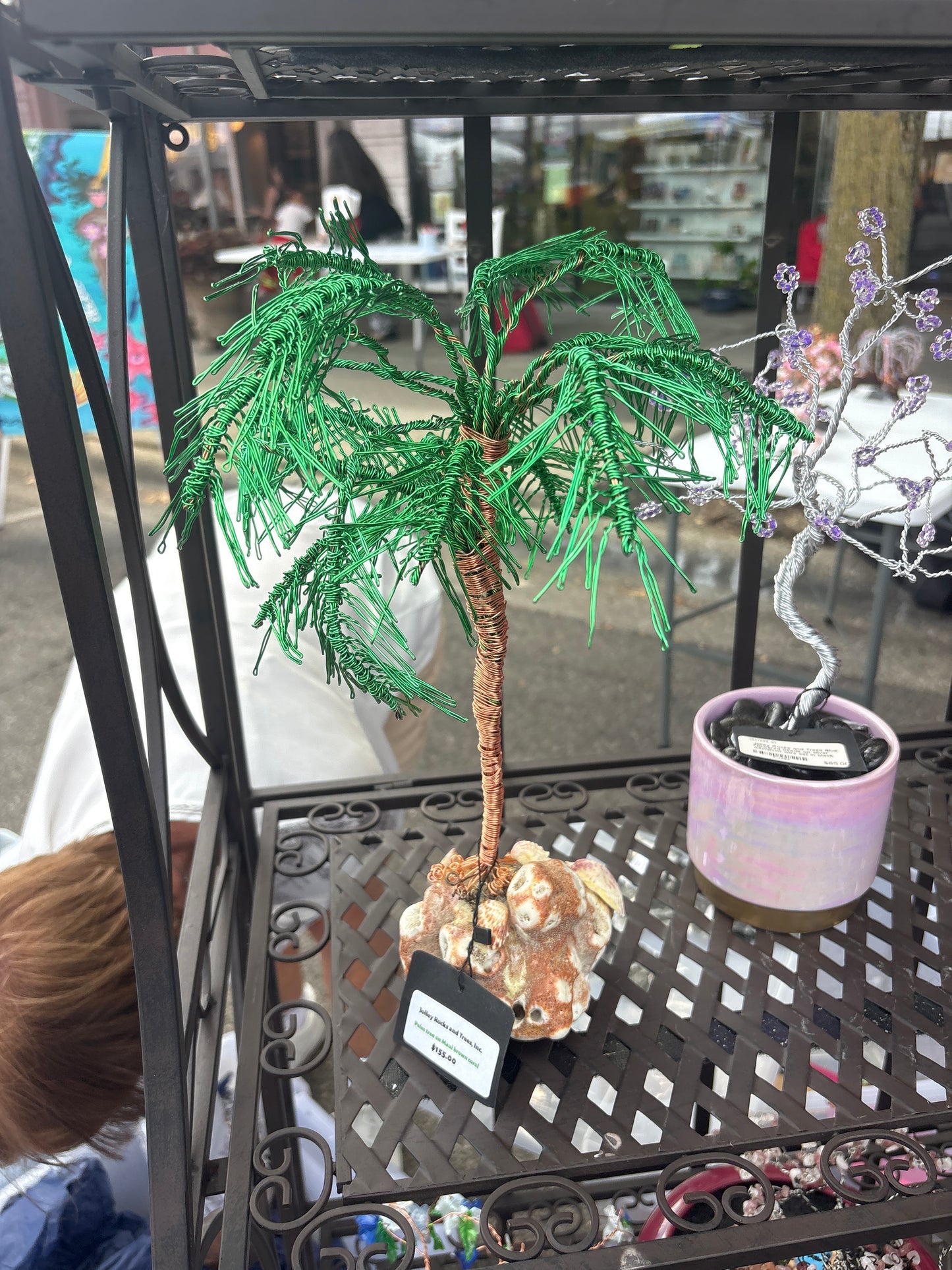 Palm Tree on Coral
