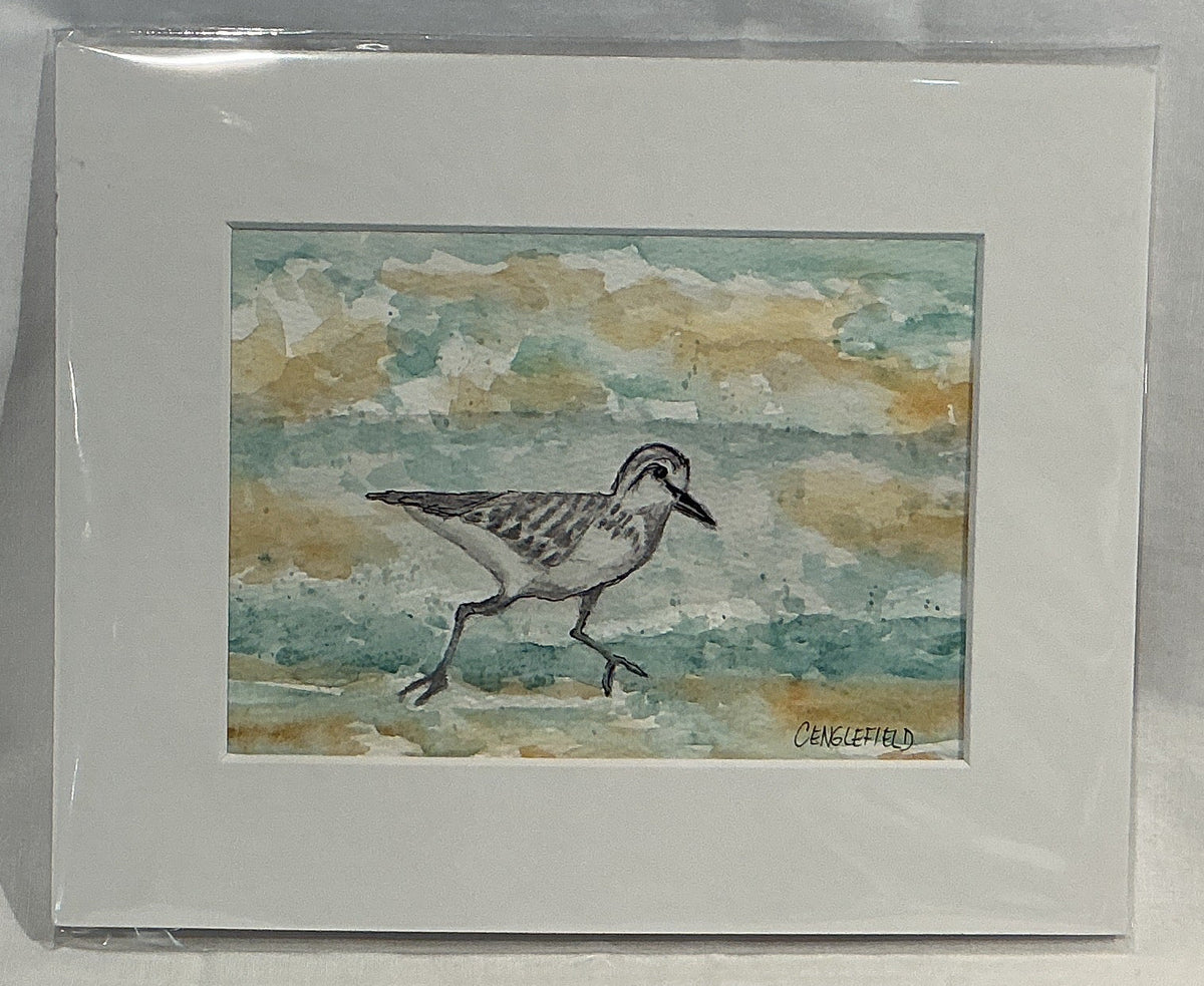 Sandpiper #2