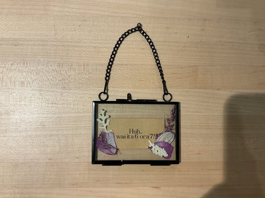 Huh… was it a 6 or a 7?