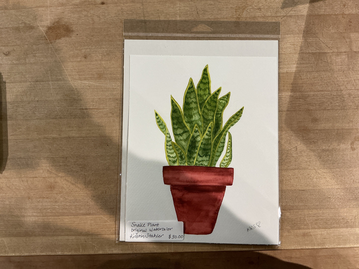Snake Plant