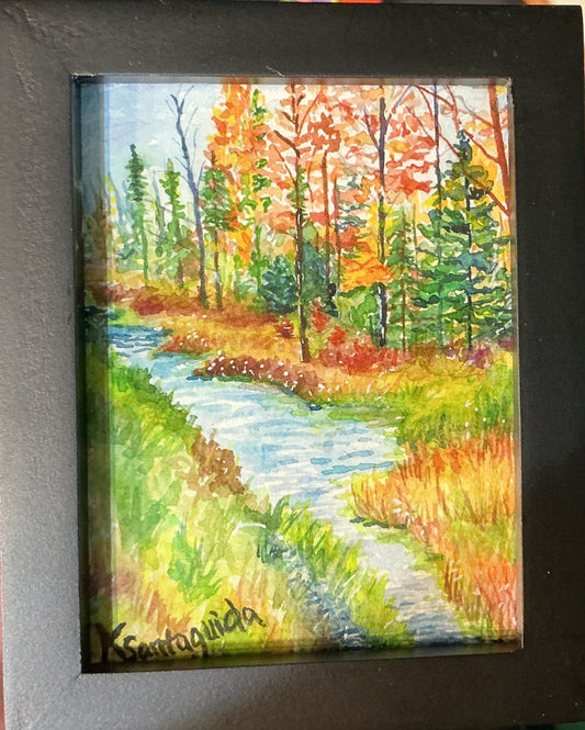 Framed Mini Paintings