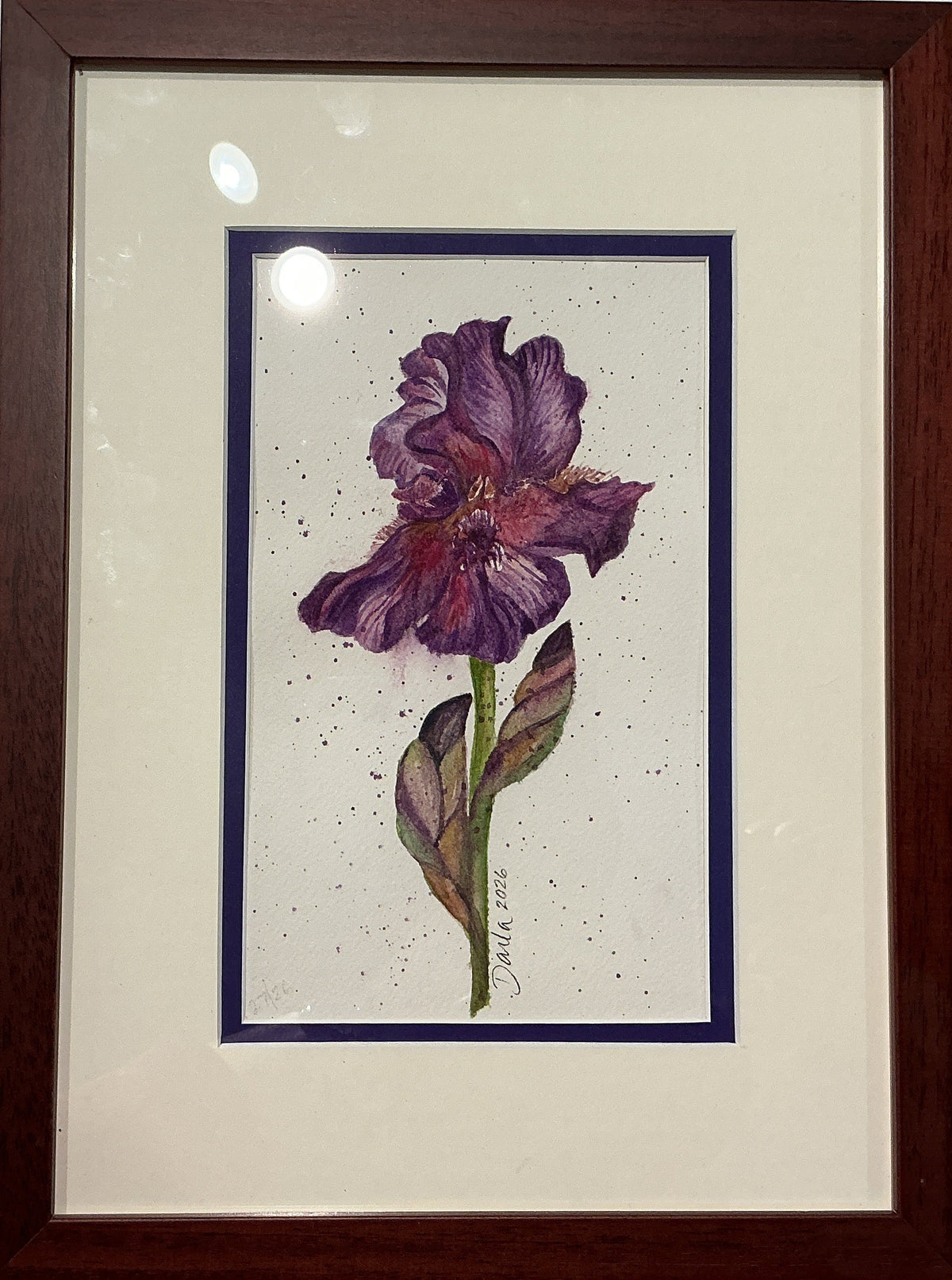 Iris