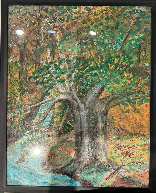 Sycamore By Creek