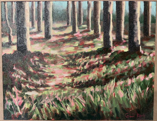 In Amelia’s Footsteps