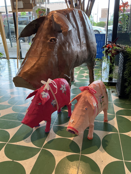 Pig