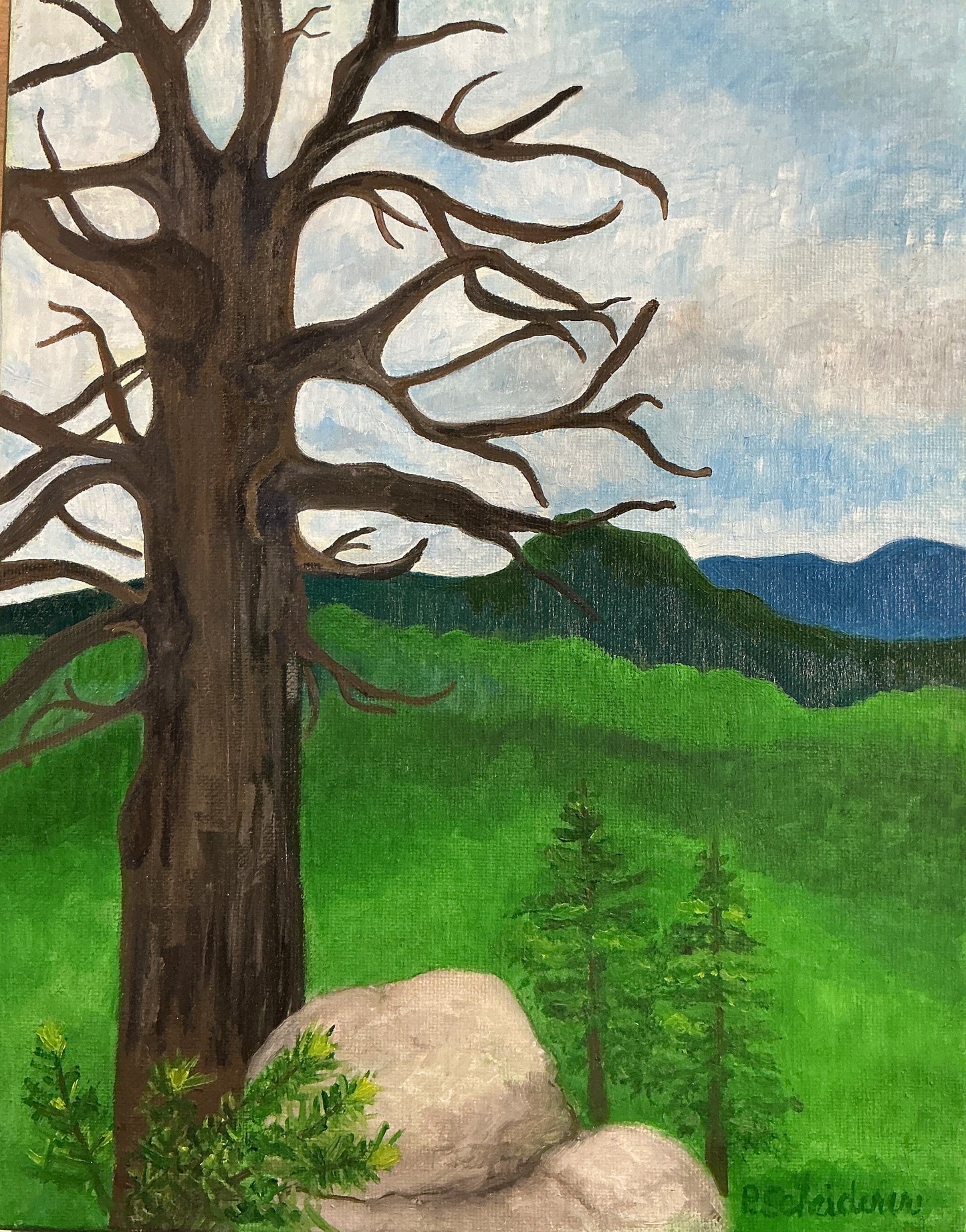 Large Tree