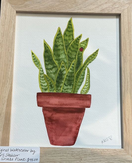 Snake Plant