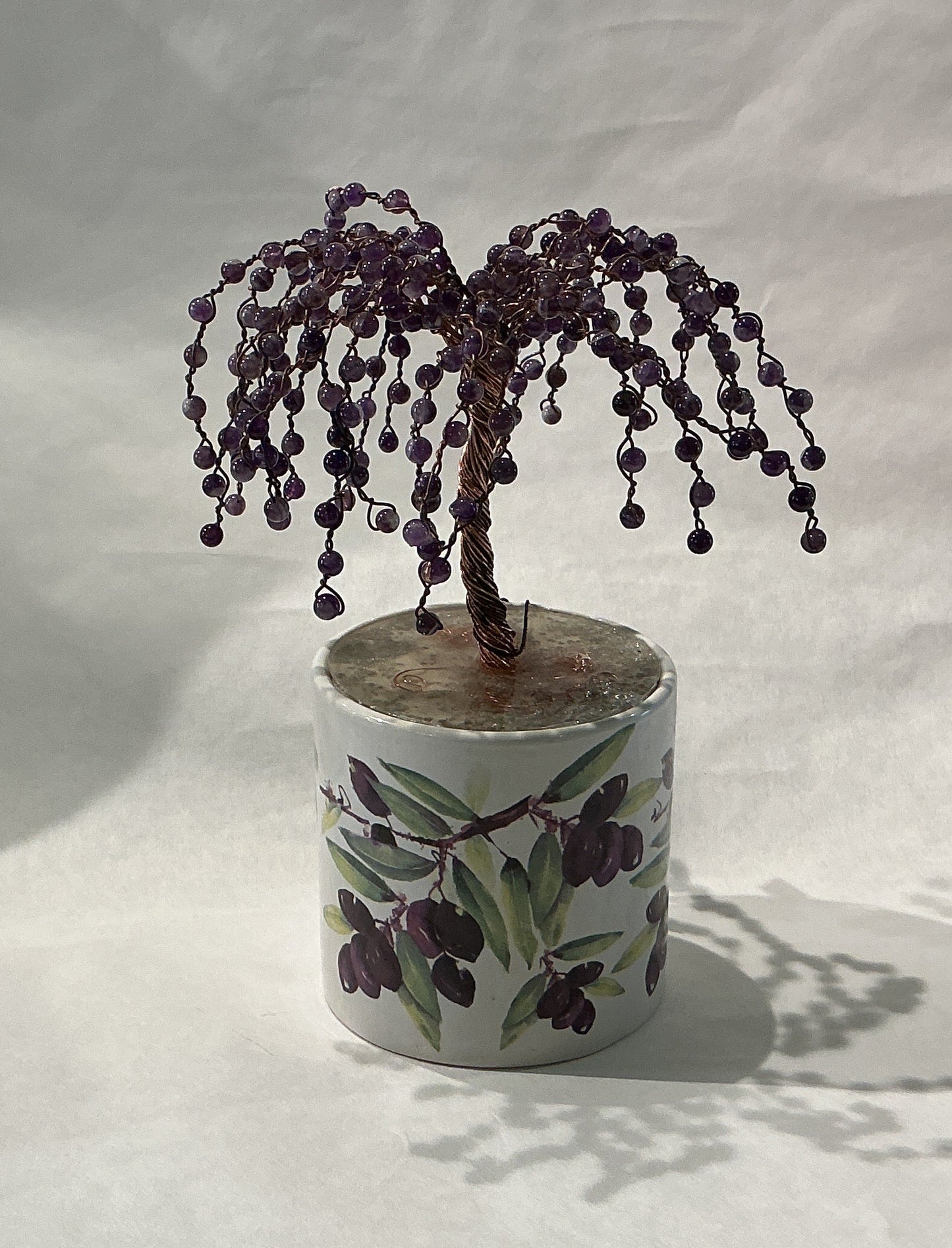 Purple Weeping Willow