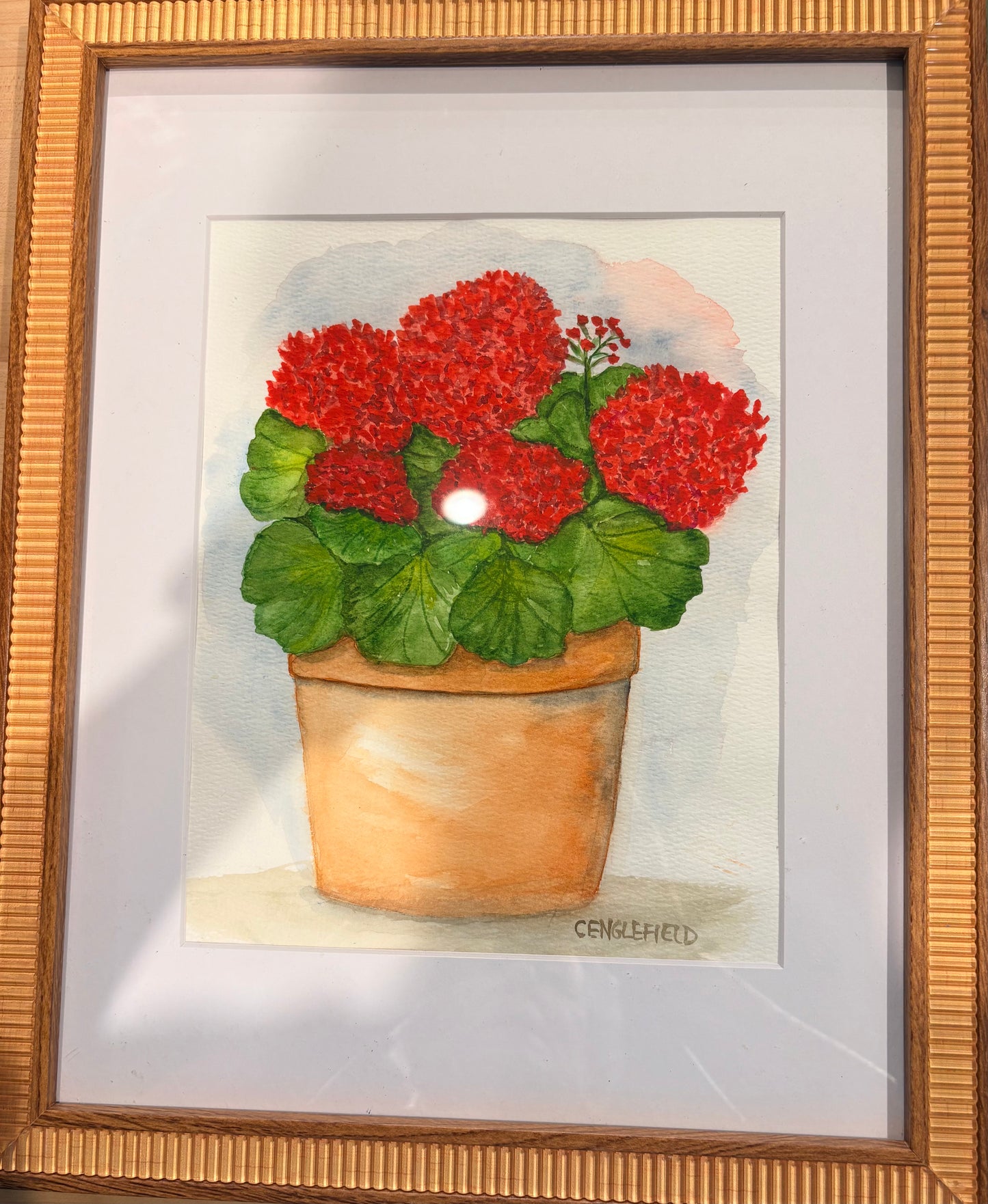 Potted Red Geranium