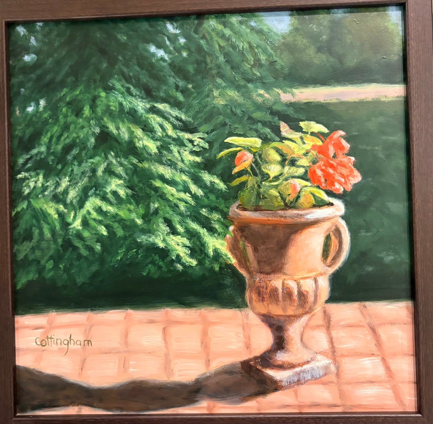 Morning Light
