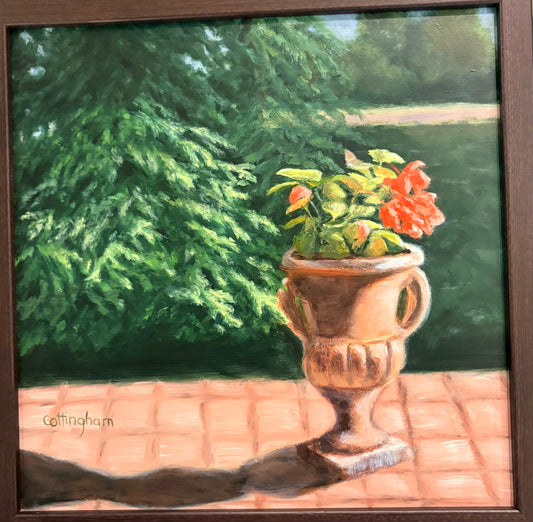 Morning Light