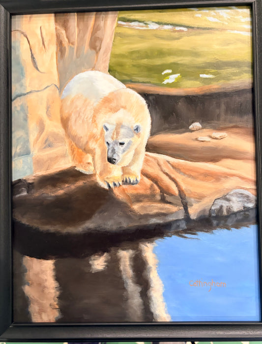 Zoo Visit