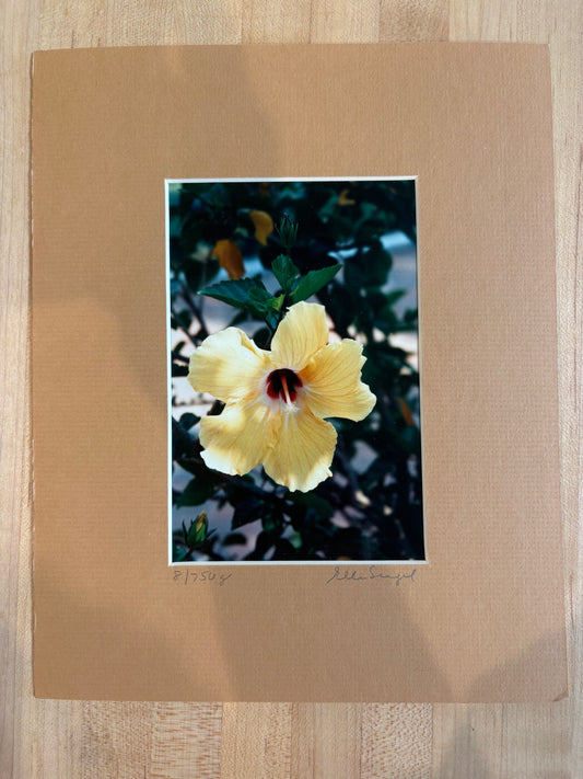 Flower Prints