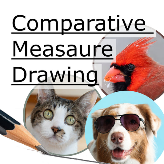 Comparative Measure Drawing. Art Guide: Kelly Cumpson. Friday, September 25. 5-7pm. Learn and practice measured drawing techniques with guided exercises. Ages 18+